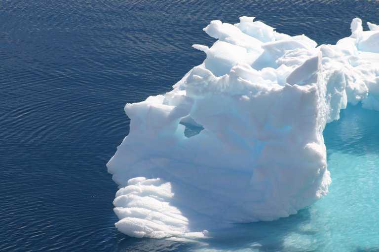 031229_phci_118.jpg (34609 Byte)