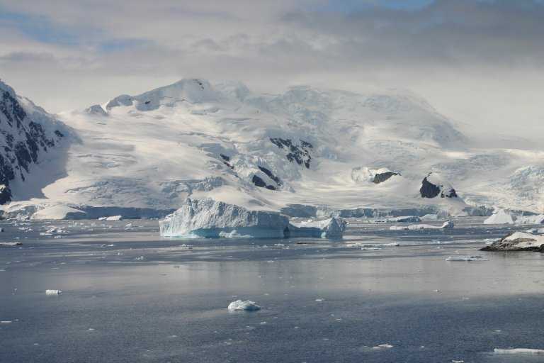 031229_phci_119.jpg (32452 Byte)