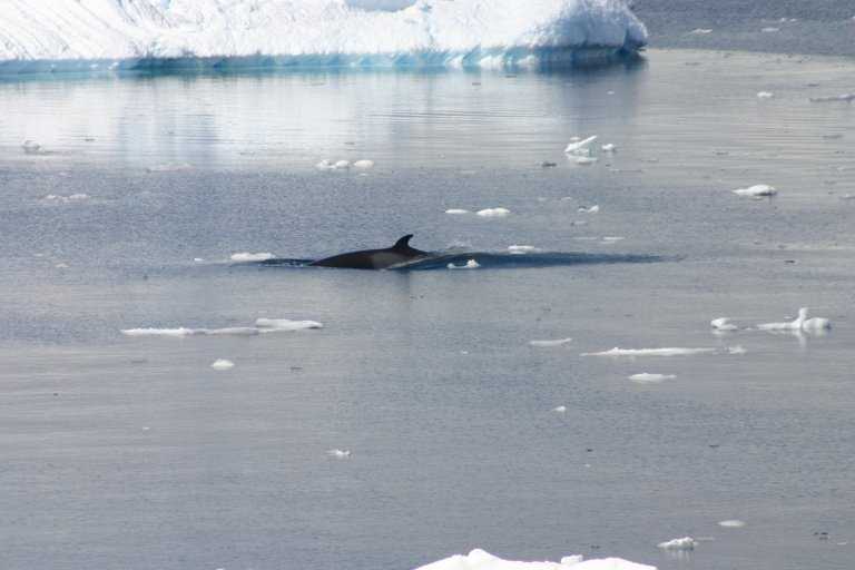 031229_phci_122.jpg (29424 Byte)