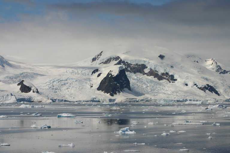 031229_phci_126.jpg (32574 Byte)