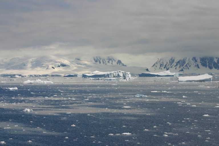 031229_phci_137.jpg (33356 Byte)