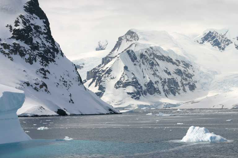 031229_phci_139.jpg (39908 Byte)