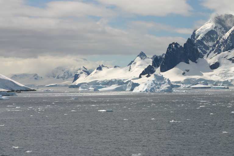 031229_phci_155.jpg (36584 Byte)