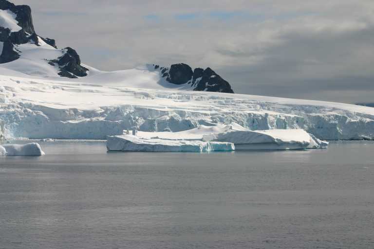 031229_phci_180.jpg (28464 Byte)