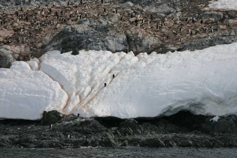 031229_phci_187.jpg (47956 Byte)