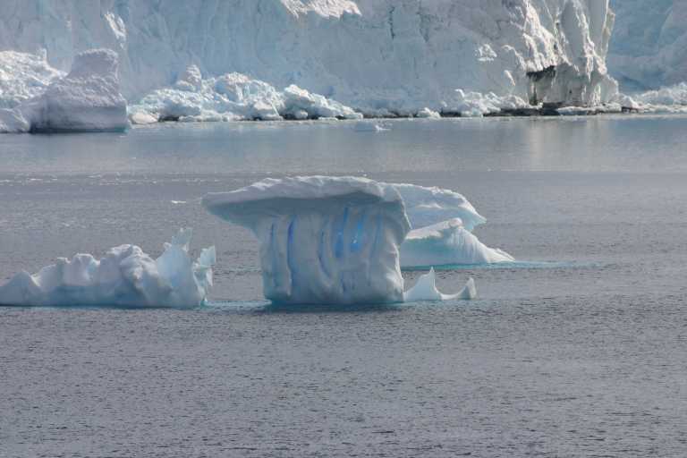 031229_phci_192.jpg (35855 Byte)