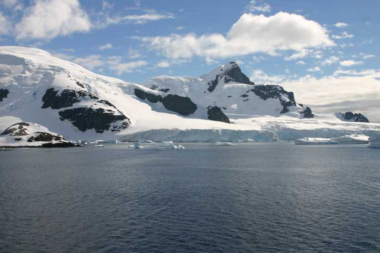 031229_phci_219.jpg (38558 Byte)