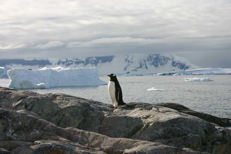 031229_phci_225.jpg (33096 Byte)