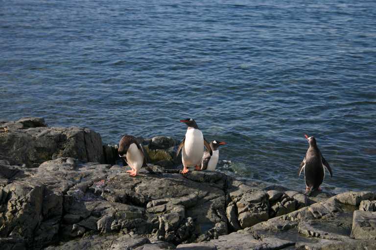 031229_phci_228.jpg (54310 Byte)