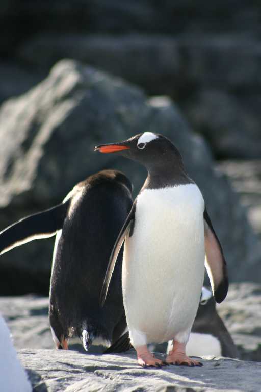 031229_phci_239.jpg (25242 Byte)