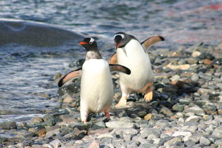 031229_phci_252.jpg (46464 Byte)