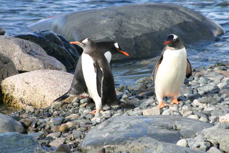 031229_phci_254.jpg (52639 Byte)