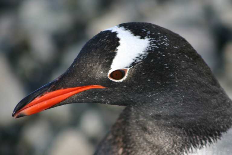 031229_phci_259.jpg (28200 Byte)