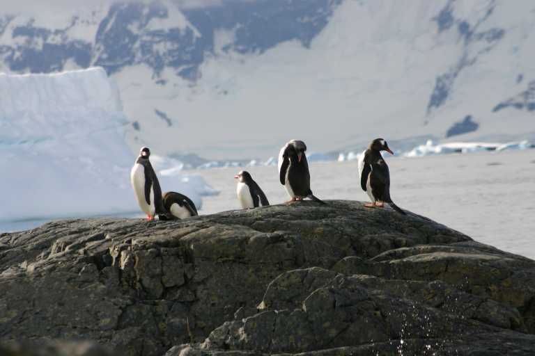 031229_phci_268.jpg (31210 Byte)