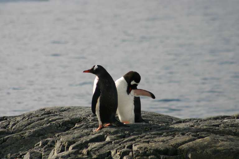 031229_phci_271.jpg (29390 Byte)