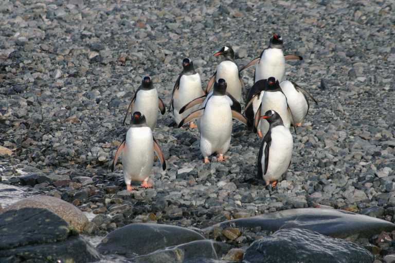 031229_phci_274.jpg (60535 Byte)