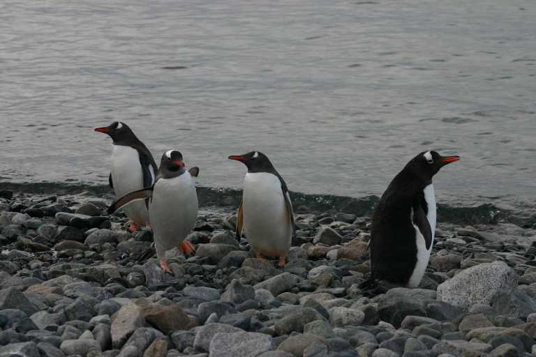 031229_phci_291.jpg (39993 Byte)