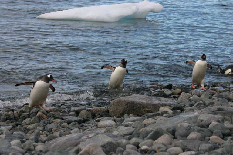 031229_phci_292.jpg (51105 Byte)