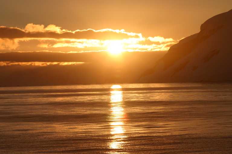 031229_phci_311.jpg (30850 Byte)