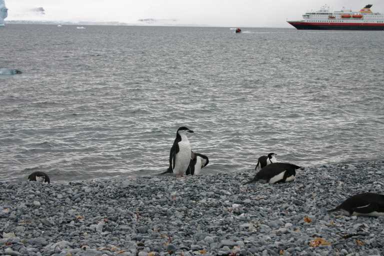 031230_hmkg_006.jpg (59894 Byte)