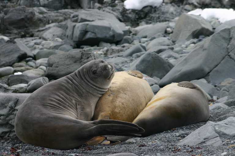 031230_hmkg_011.jpg (41724 Byte)