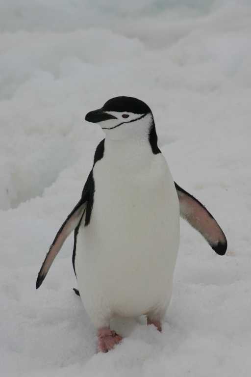 031230_hmkg_023.jpg (13745 Byte)