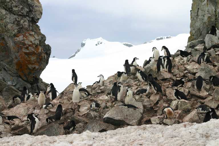 031230_hmkg_027.jpg (49615 Byte)