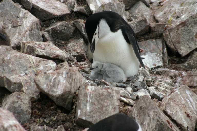 031230_hmkg_041.jpg (52292 Byte)