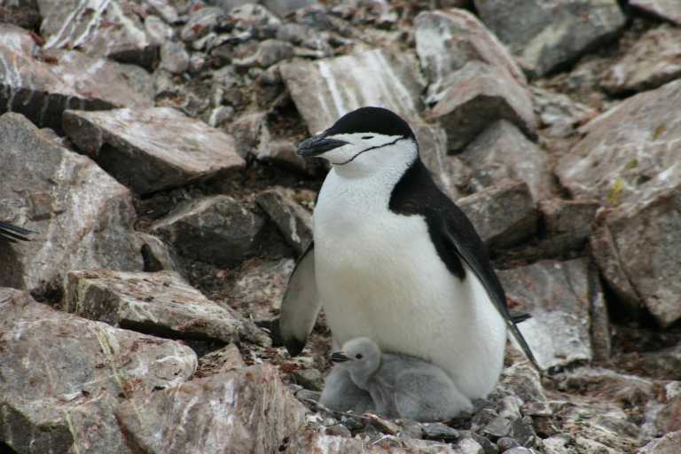 031230_hmkg_043.jpg (47523 Byte)