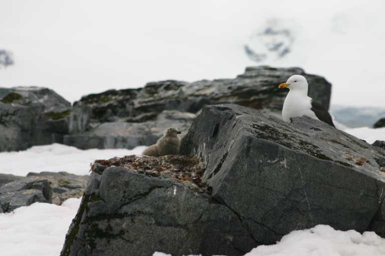 031230_hmkg_058.jpg (29349 Byte)