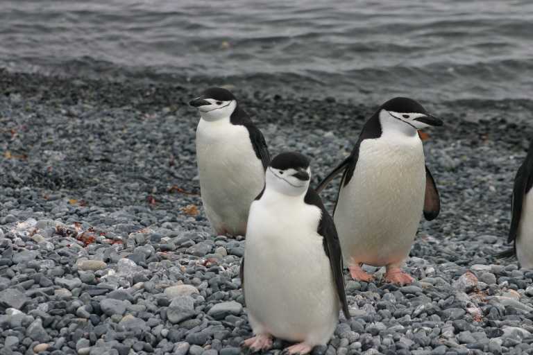 031230_hmkg_063.jpg (47347 Byte)