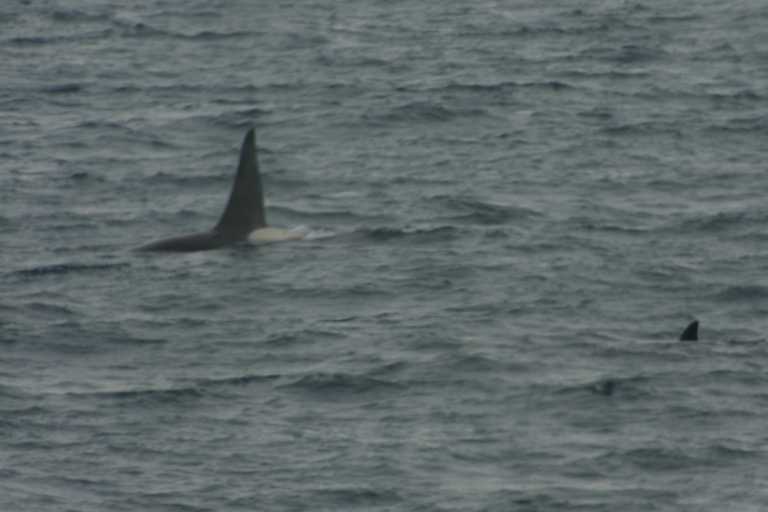 031230_hmkg_079.jpg (26654 Byte)