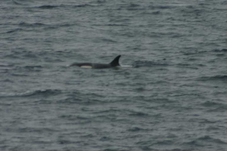 031230_hmkg_080.jpg (23493 Byte)