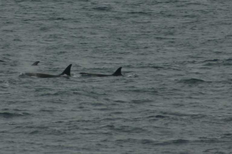 031230_hmkg_082.jpg (31282 Byte)