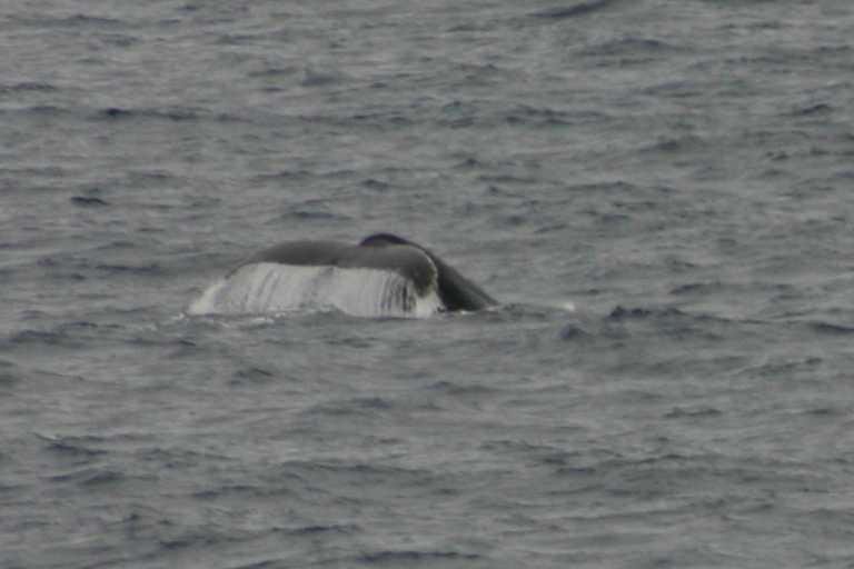 031230_hmkg_084.jpg (25623 Byte)