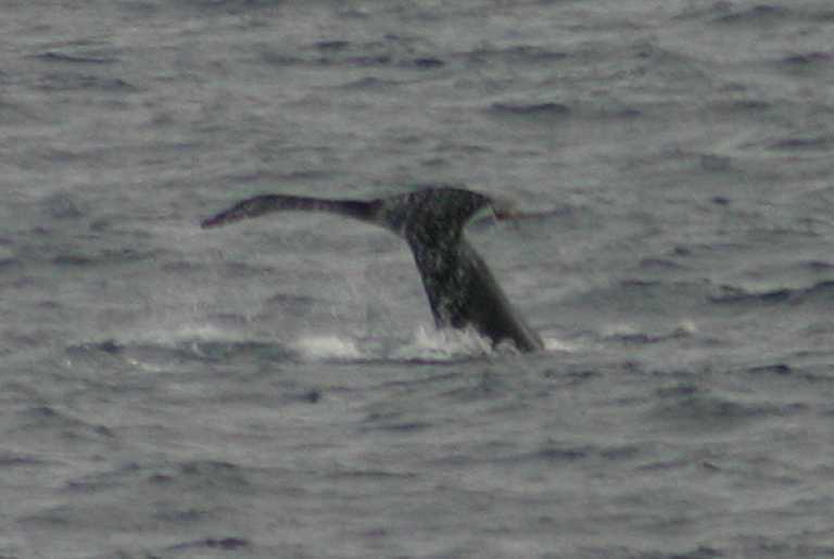 031230_hmkg_085.jpg (23771 Byte)