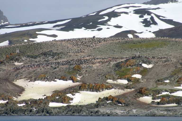 031230_hmkg_097.jpg (52323 Byte)