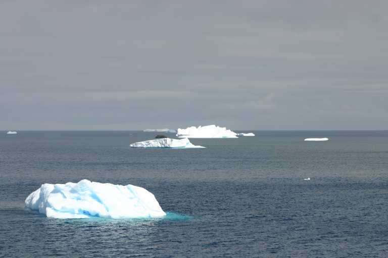 031230_hmkg_108.jpg (26036 Byte)