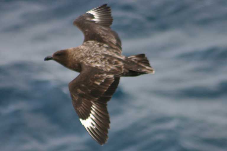 031230_hmkg_115.jpg (18147 Byte)