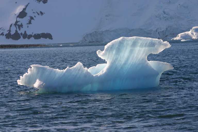 031230_hmkg_132.jpg (40245 Byte)