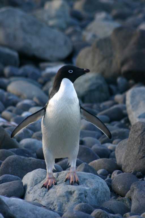 031230_hmkg_138.jpg (28880 Byte)