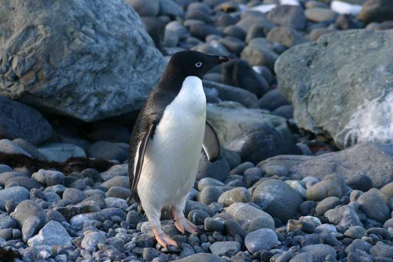 031230_hmkg_141.jpg (43646 Byte)