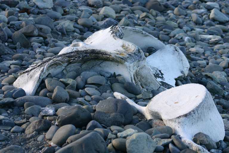 031230_hmkg_149.jpg (52491 Byte)