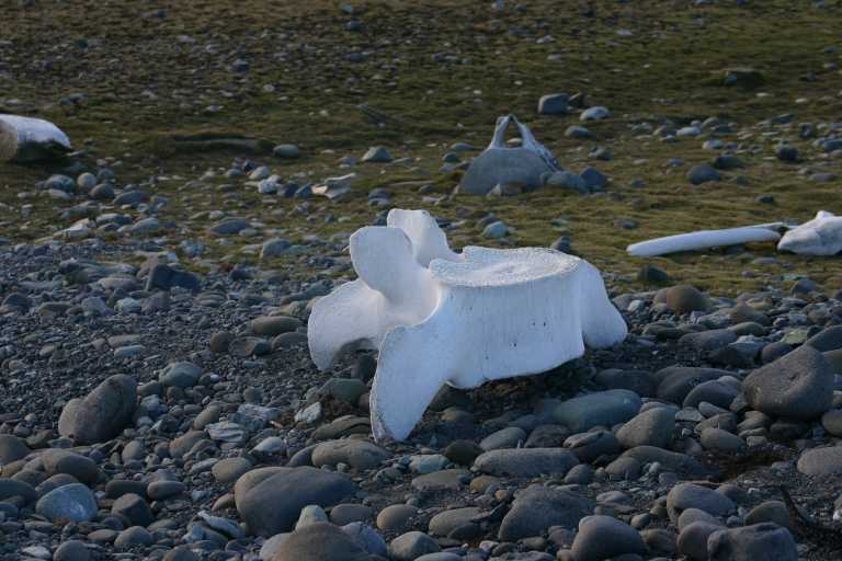 031230_hmkg_151.jpg (50521 Byte)