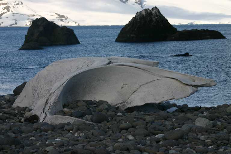 031230_hmkg_153.jpg (38536 Byte)