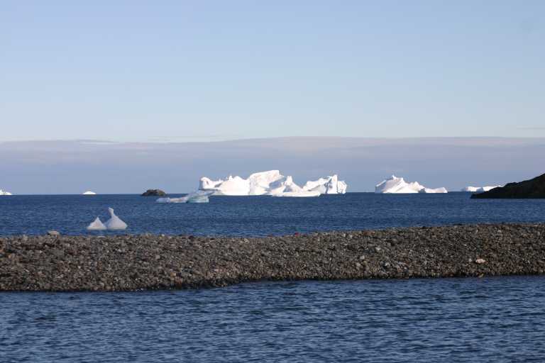 031230_hmkg_156.jpg (34244 Byte)