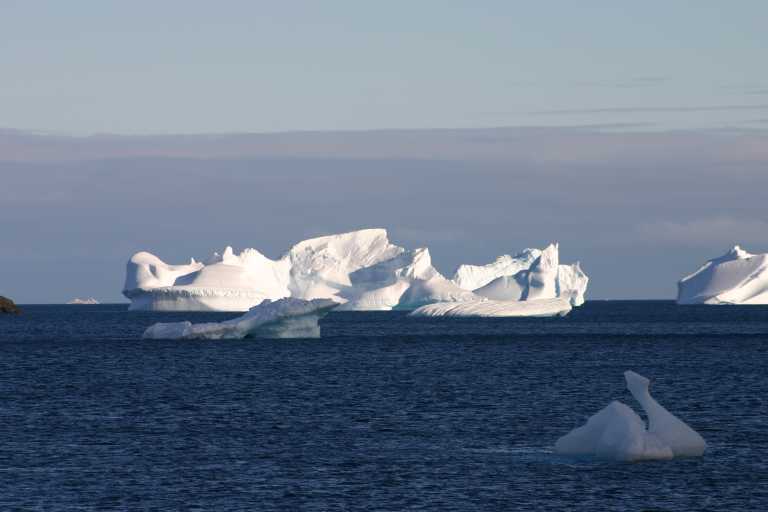 031230_hmkg_171.jpg (27198 Byte)