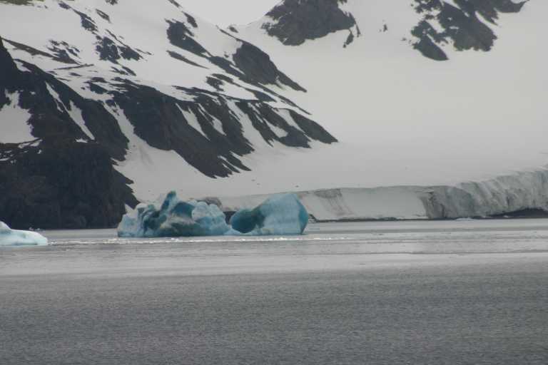 031231_eidp_003.jpg (30447 Byte)