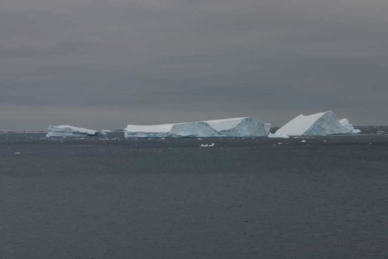 031231_eidp_004.jpg (13904 Byte)