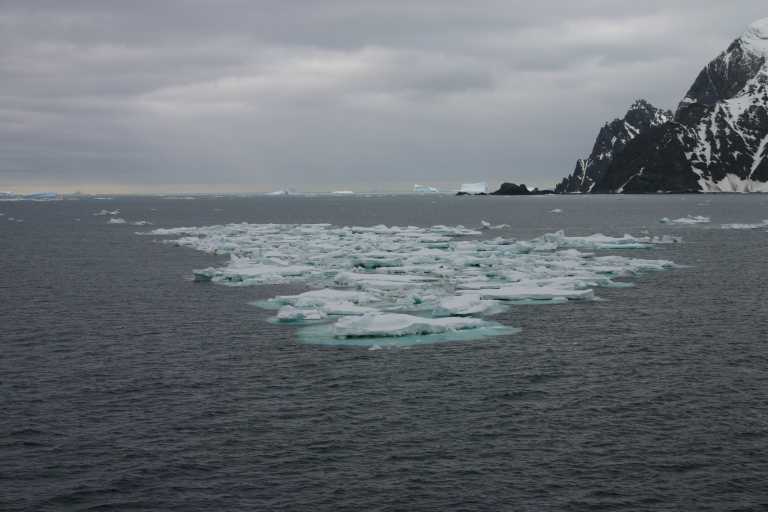 031231_eidp_030.jpg (33300 Byte)